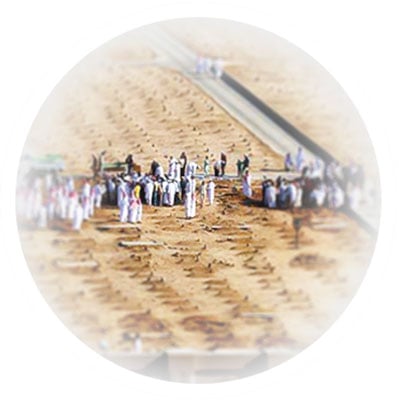 vign-services Formule famille